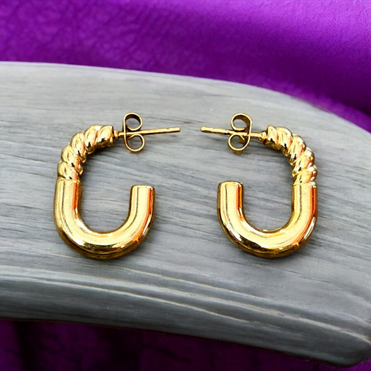 Twisted Hoop Earrings